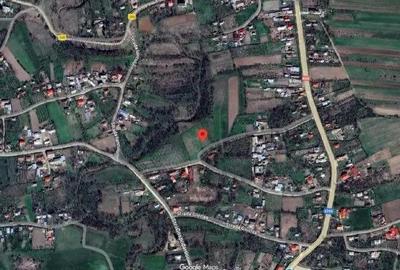 Teren Ungheni, ID: R2832820 - 6