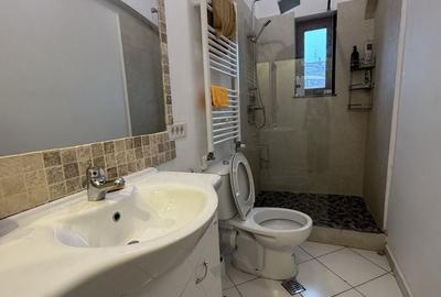 Penthouse cu terasa 50mp- Unirii - 11