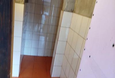 Apartament cu 2 camere nedecomandat în Central - 4
