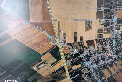 Teren de 8166 mp, în Ciorogârla - 5