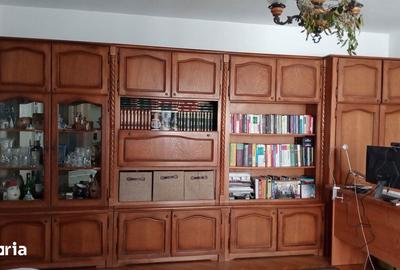 Apartament cu 2 camere decomandat, mobilat în Brazda lui Novac - 5