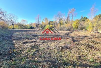 Teren intravilan in Cornu 3171 mp--89.000e - 7