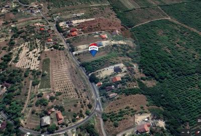 Teren pretabil constructii/10 min de Baia Mare - 2