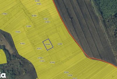 Teren de 3600 mp, în Dobrovăț - 1