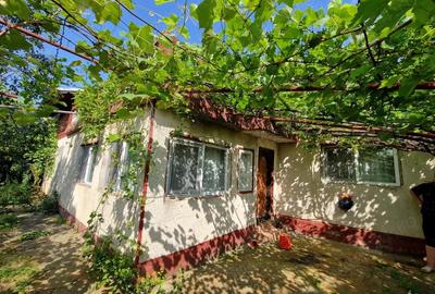 Casă cu 4 camere cu Teren 828 Mp în Amaru - 2