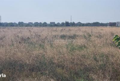 Teren de 25000 mp, în Vânători - 2