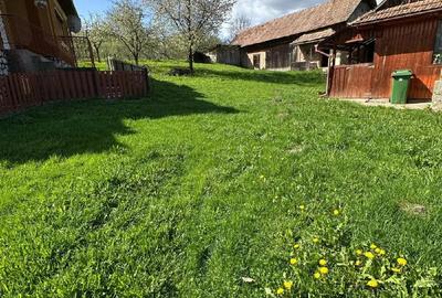 Vand casa Cacova ierii - 3