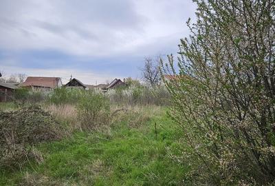 Spațiu comercial, în Biharia - 5