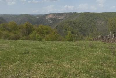 Teren de 3774 mp, în Ghelari - 3
