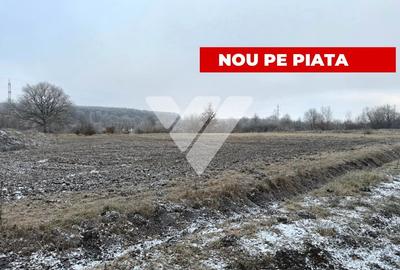 Teren Construcții intravilan de 750 mp, în Șelimbăr