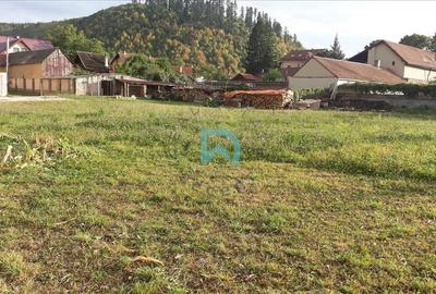 Teren Construcții intravilan de 835 mp, în Cristian - 1