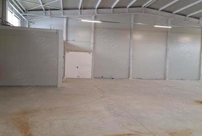 Afumati inchiriere spatiu hala - 3