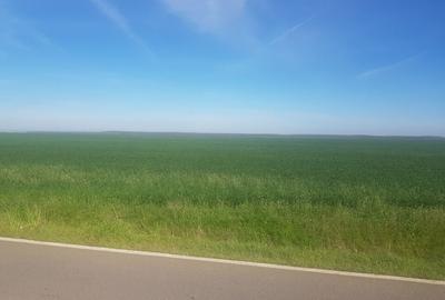 Teren intravilan arabil 55.400 m.p. Vasilati, Jud. Calarasi - 9