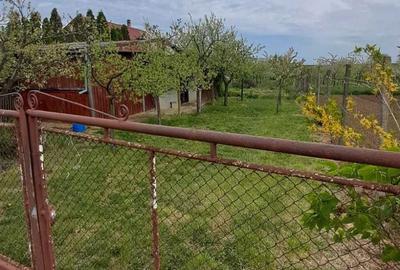 Spațiu comercial, în Central - 2