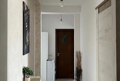 Apartament cu 2 camere semidecomandat în Ozana - 5