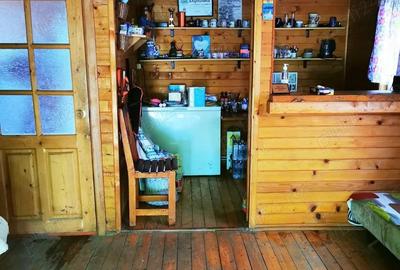 Com. Ileana - Calarasi, 4000 mp. teren si casa de vacanta cu deschidere la Balta - 7