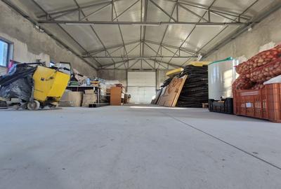 Teren 6500 mp Hala 500 mp | Platforma | Jilava | Centura - 8