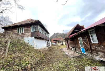 Casă individuală cu 3 camere cu Teren 2834 Mp în Ocoliș - 3