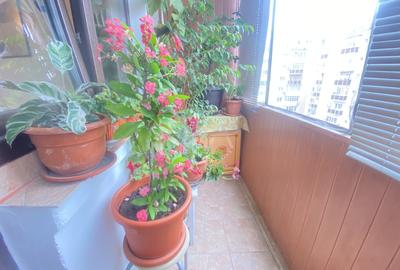 Apartament cu 3 camere decomandat, mobilat în Tineretului - 12