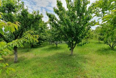 Teren de 2400 mp, în Central