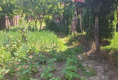 Casă cu 2 camere în Curtea de Argeș - 7