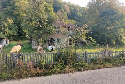 Casă cu 4 camere cu Teren 7000 Mp în Almașu Mare - 2