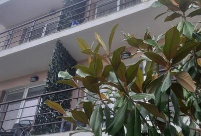 Pensiune in techirghiol - 8