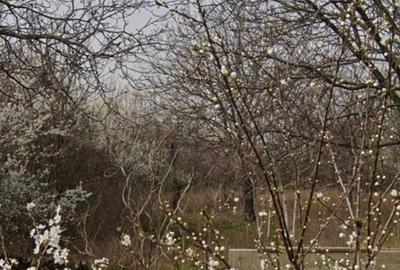 Teren Construcții intravilan de 2000 mp, în Ferentari - 3