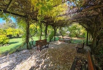 Afacere la cheie profitabila-sala evenimente zona Deva - 7