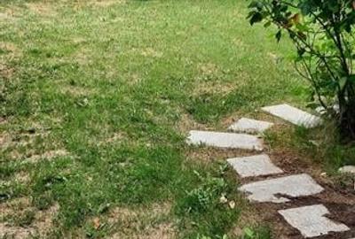 Oferta inchiriere casa zona Piata Alba Iulia // Bd. Decebal - 6