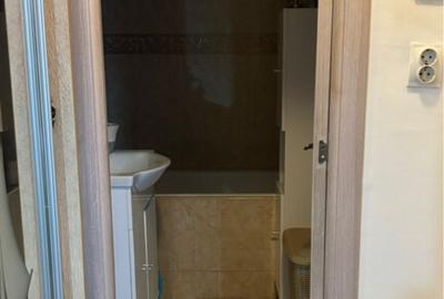 Apartament 2 camere Delfinului Iancului - 6