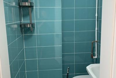 Baicului, Pantelimon, Colentina - 2