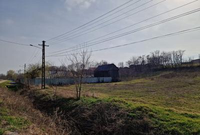 Teren - Roman  -Trifesti Teren - Roman  -Trifesti - 7