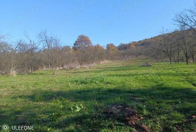 Vand casa Simeria veche - 2