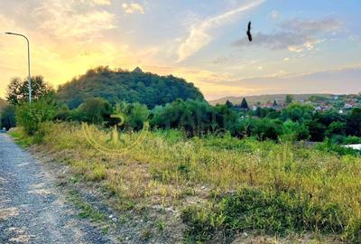 Teren de vânzare Cisnădioara – 2 parcele a câte 1.250 mp, utilități pe teren - 1