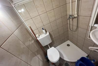 Garsoniera Calea Lipovei - 5