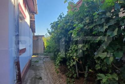 Casa renovabila, 2 camere, zona Cetate - 7