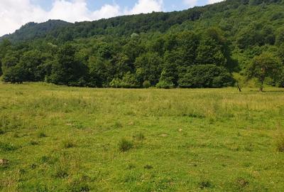 Oportunitate! -teren în zona  Pârâul Rece, Brașov - 6