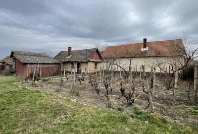 Casă în Sălard - 1