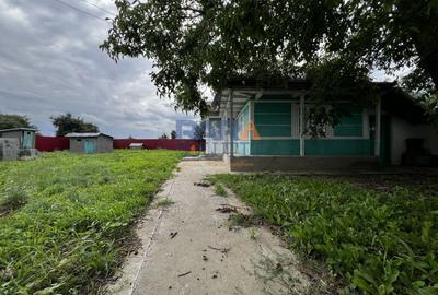 Casă cu 3500 mp teren, Sat Miron Costin - Brănișteni (str. Macilor) - 2