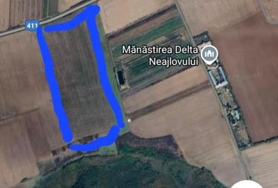 Teren in suprafata de 54000 mp- Sat Branistari, Comuna Calugareni - 4