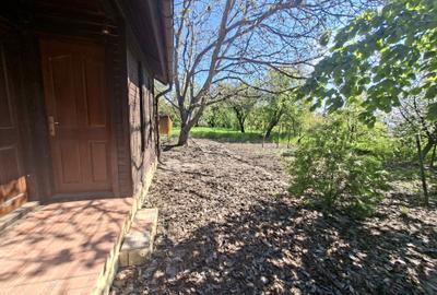 Casă cu 2 camere în Cernica - 12