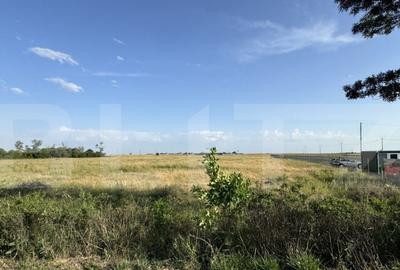 Teren de 42000 mp, în Aeroport - 3