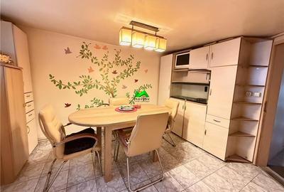 Casa individuala de vanzare 6 camere Sibiu Moara de Scoarta - 5