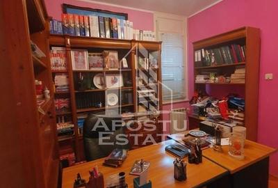 Casa individuala pretabila pentru pensiune, Giarmata - 11