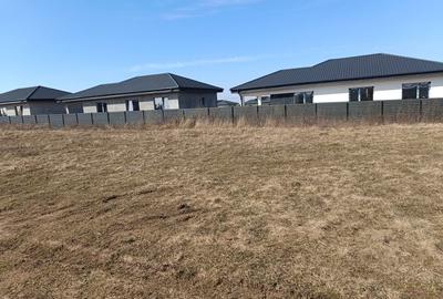 Spațiu comercial, în Vorovești - 5