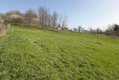 Teren de 3513 mp, în Vișinești - 2