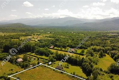 Teren intravilan de vanzare 1000 mp in Avrig zona Valea Avrigului - 4