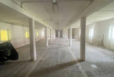 Inchiriez spatii comerciale si industriale in Dumbravita - 15