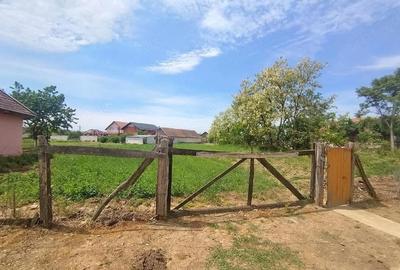 Teren de 1200 mp, în Sânnicolau Român - 4